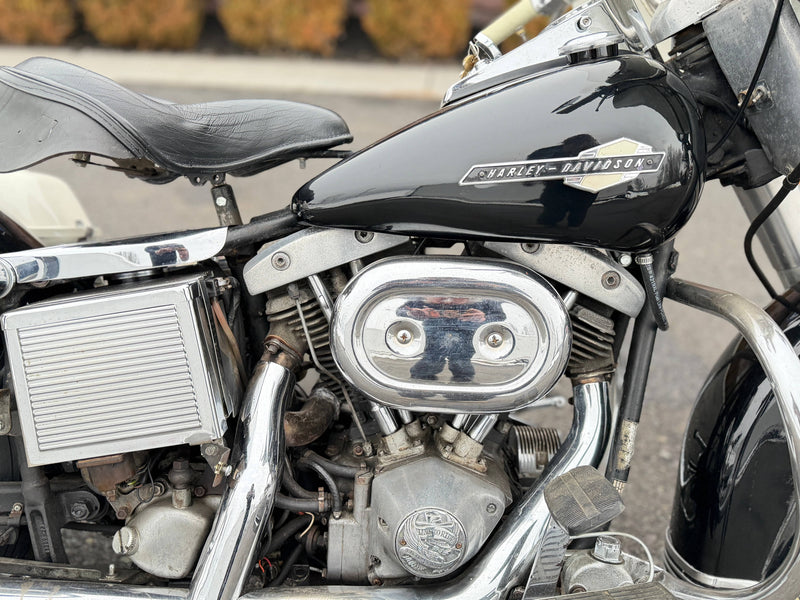 1975 Harley-Davidson Shovelhead FLH Survivor 74