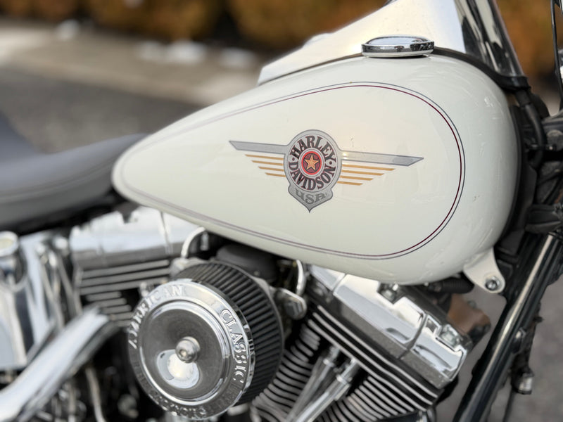 Offsite) 2001 Harley-Davidson Softail Fatboy Fat Boy FLSTF Club