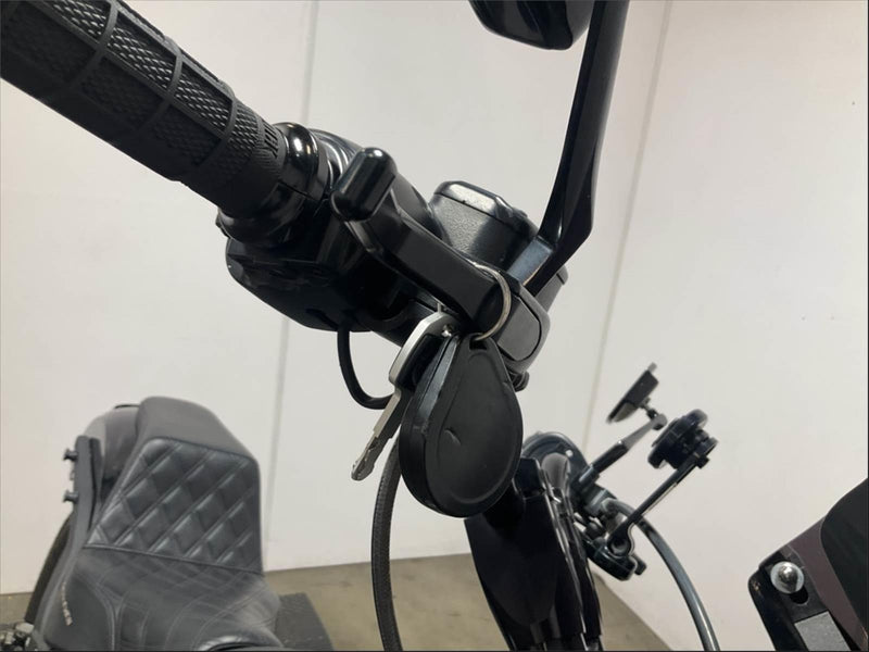 2021 Harley-Davidson Softail Lowrider S FXLRS 114" One Owner Low Miles Many Extras! $14,500 (In Transit)