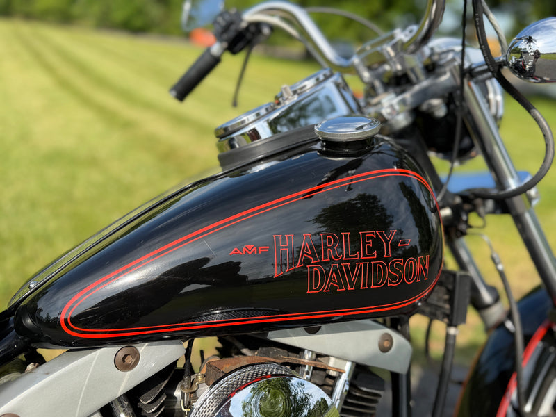 1979 Harley Davidson FXS-1200 Lowrider 4-Speed Shovelhead Survivor