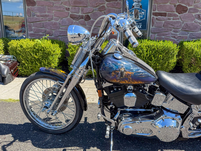 Harley-Davidson Motorcycle 1999 Harley-Davidson Softail Springer FXSTS 1340 Last Year Evolution w/ Custom Frank Frazetta Paint Set One Owner Low Miles! $11,995
