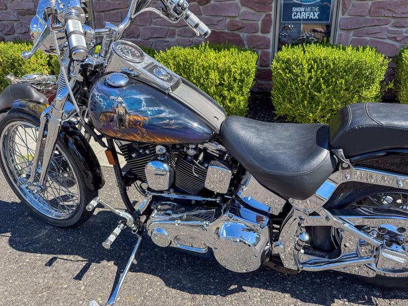 Harley-Davidson Motorcycle 1999 Harley-Davidson Softail Springer FXSTS 1340 Last Year Evolution w/ Custom Frank Frazetta Paint Set One Owner Low Miles! $11,995