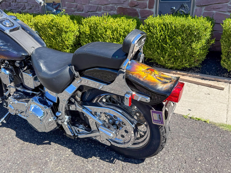 Harley-Davidson Motorcycle 1999 Harley-Davidson Softail Springer FXSTS 1340 Last Year Evolution w/ Custom Frank Frazetta Paint Set One Owner Low Miles! $11,995