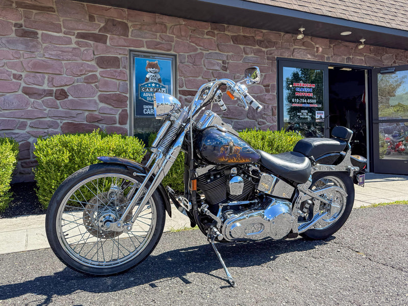 Harley-Davidson Motorcycle 1999 Harley-Davidson Softail Springer FXSTS 1340 Last Year Evolution w/ Custom Frank Frazetta Paint Set One Owner Low Miles! $11,995