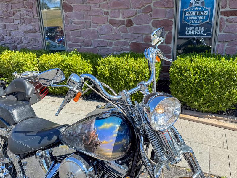 Harley-Davidson Motorcycle 1999 Harley-Davidson Softail Springer FXSTS 1340 Last Year Evolution w/ Custom Frank Frazetta Paint Set One Owner Low Miles! $11,995