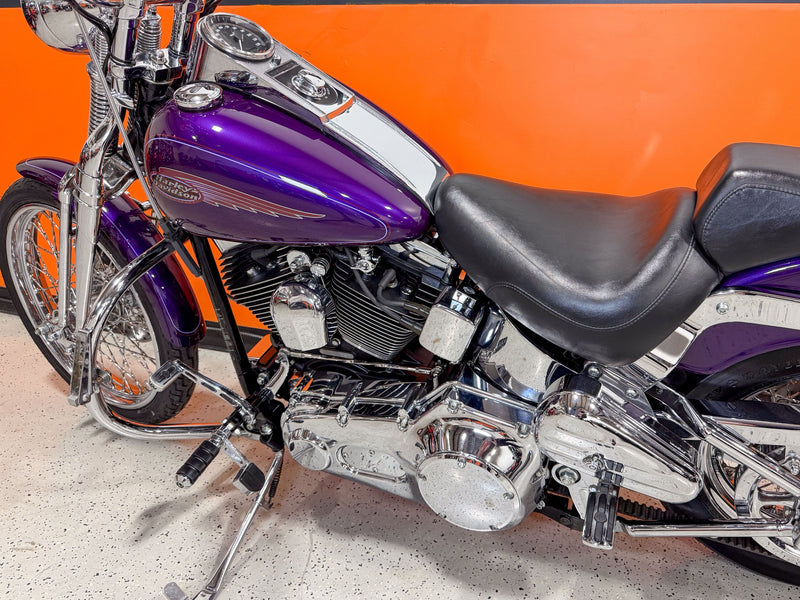 90s Harley Custom Show × Hooters Ant's Custom 1990 Harley-Davidson Sportster Build | The 101