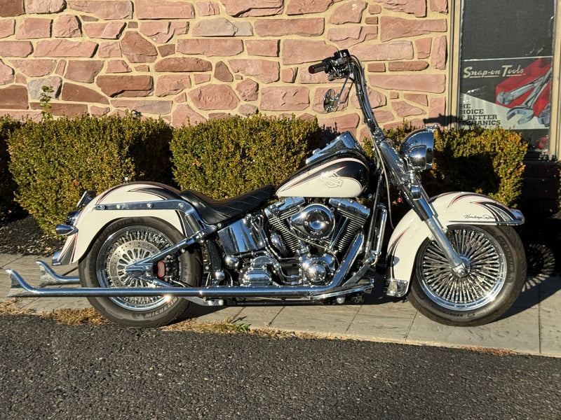 Harley-Davidson Motorcycle 2002 Harley-Davidson Softail Heritage Classic FLSTCI 100" S&S Kit Custom Paint Apes Fishtail Duals Many Extras! $9,995
