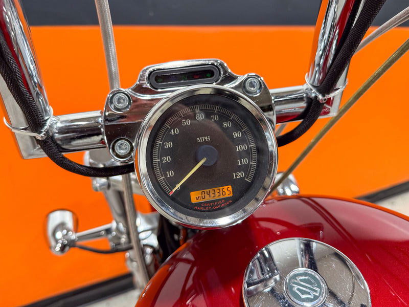 Harley-Davidson Motorcycle 2005 Harley-Davidson 1200 Sportster XL1200 w/ Apes, Exhaust, and Extras! $2,995