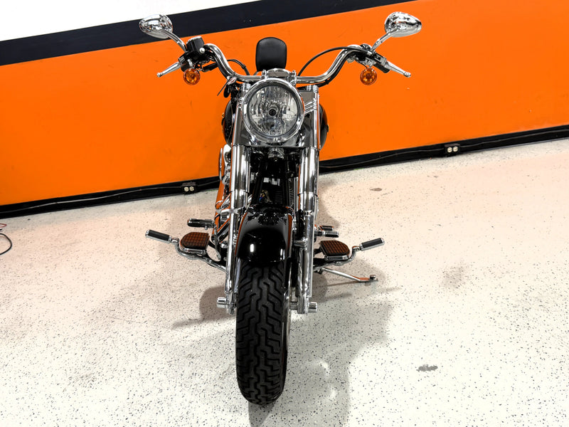 2005 FLSTF 15thアニバーサリー　タンク　フロントフェンダーハーレー 2005 Harley-Davidson 15th Anniversary Rare FLSTF Softail Fatboy w