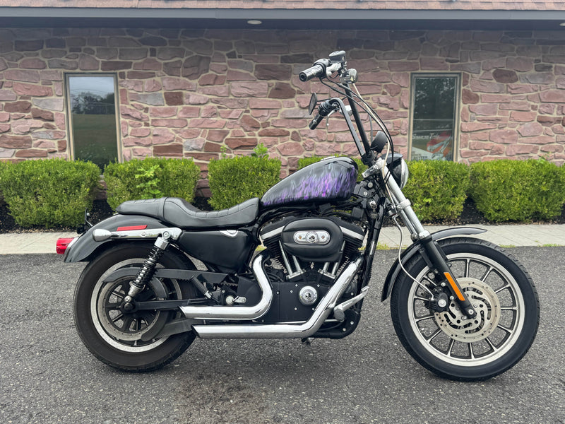 Harley-Davidson Motorcycle 2006 Harley-Davidson 883R Sportster Low XL883R w/ Custom Air Brushed Paint!! $4,995