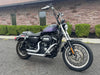 Harley-Davidson Motorcycle 2006 Harley-Davidson 883R Sportster Low XL883R w/ Custom Air Brushed Paint!! $4,995