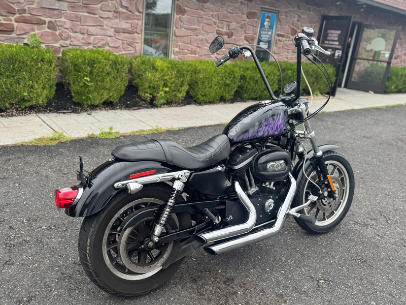 Harley-Davidson Motorcycle 2006 Harley-Davidson 883R Sportster Low XL883R w/ Custom Air Brushed Paint!! $4,995