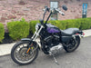 Harley-Davidson Motorcycle 2006 Harley-Davidson 883R Sportster Low XL883R w/ Custom Air Brushed Paint!! $4,995