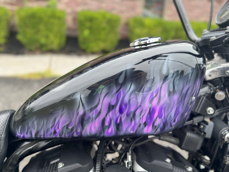 Harley-Davidson Motorcycle 2006 Harley-Davidson 883R Sportster Low XL883R w/ Custom Air Brushed Paint!! $4,995