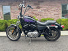 Harley-Davidson Motorcycle 2006 Harley-Davidson 883R Sportster Low XL883R w/ Custom Air Brushed Paint!! $4,995