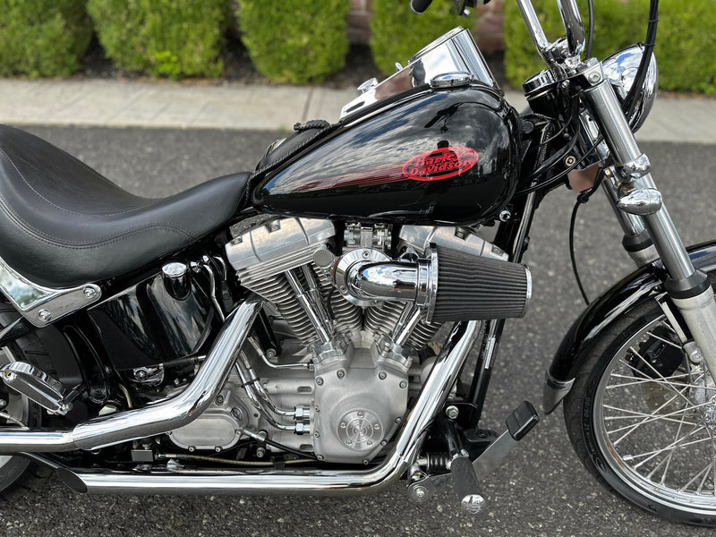 Harley-Davidson Motorcycle 2006 Harley-Davidson Softail Standard FXST 200 Wide Tire 95" Big Bore w/ S&S Cam Chest! $7,995