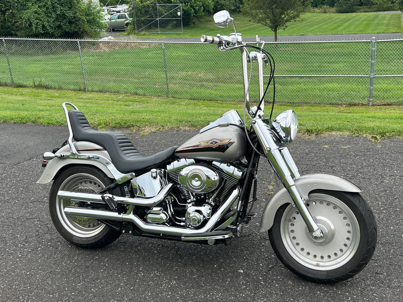 Harley fatboy images best sale