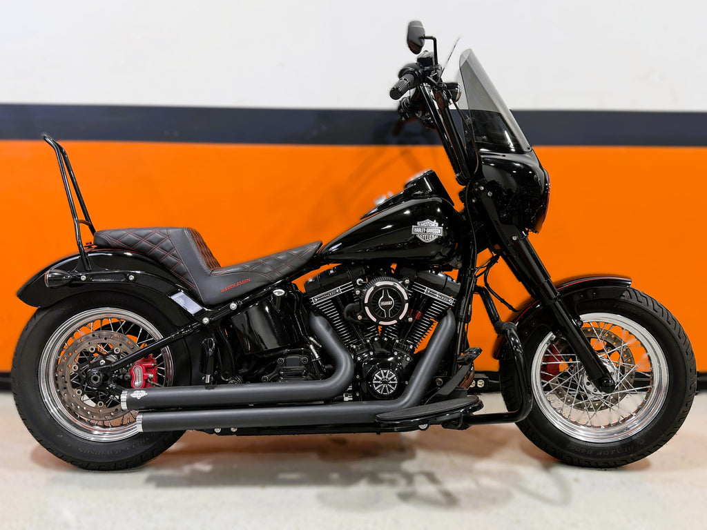 2016 Harley-Davidson Softail Slim S FLSS Screamin' Eagle 110