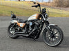 Harley-Davidson Motorcycle 2019 Harley-Davidson Sportster Iron 1200 XL1200NS HD Custom Paint w/ Many Upgrades! $6,995