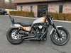 Harley-Davidson Motorcycle 2019 Harley-Davidson Sportster Iron 1200 XL1200NS HD Custom Paint w/ Many Upgrades! $6,995