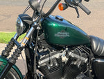 Harley-Davidson Motorcycle 2021 Harley-Davidson Sportster Iron XL883N Iron 883 One Owner w/ Mini Apes Rare Snake Venom! $8,995