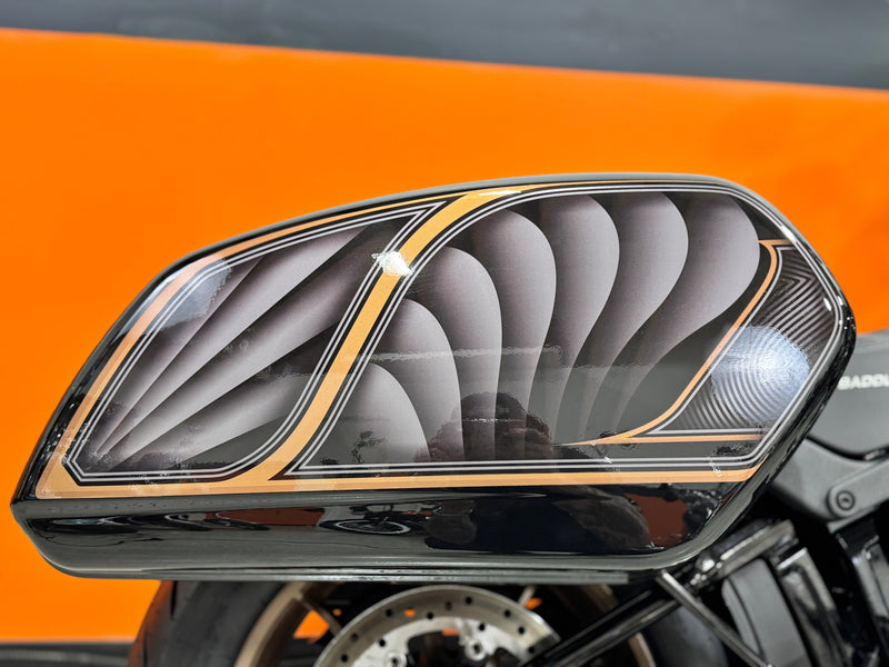 Harley-Davidson Motorcycle 2024 Harley-Davidson Softail Lowrider ST FXLRST Stainless Pipe, Bars, & LP6 Headlamp! $19,995