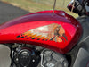 Indian Motorcycle Motorcycle 2019 Indian Motorcycle Scout Sixty 60 ABS 1000cc Bobber with Extras!! 7k Miles $7,995