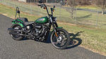 2021 Harley-Davidson Softail Street Bob FXBBS 114" Hard Candy Custom Paint, Saddlemen Step Up, Custom Bars, and More! $11,995