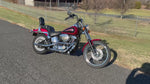 1999 Harley-Davidson Softail Custom Evolution FXSTC Two-Tone One Owner! Clean Carfax! $5,995