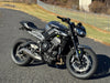 Triumph Motorcycle 2024 Triumph Street Triple 765 R Silver Ice Naked Street Fighter $8,675