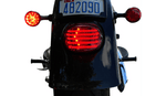 Custom Dynamics Custom Dynamics ProBEAM Low Profile LED Taillight Red Top Window 99+ Harley