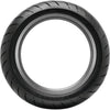 Dunlop Dunlop Sportmax 190/55R17 75W Roadsmart IV Rear Tire Blackwall Harley Cruiser