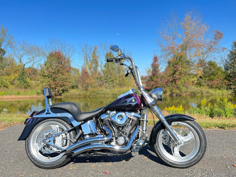 Harley Fatboy Custom Wheels