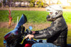Klock Werks Other Motorcycle Accessories Klock Werks 11.5" Dark Smoke Flare Batwing Windshield Harley Touring 2014-2020